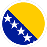 flag of Bosnia and Herzegovina