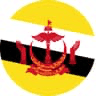 flag of Brunei Darussalam
